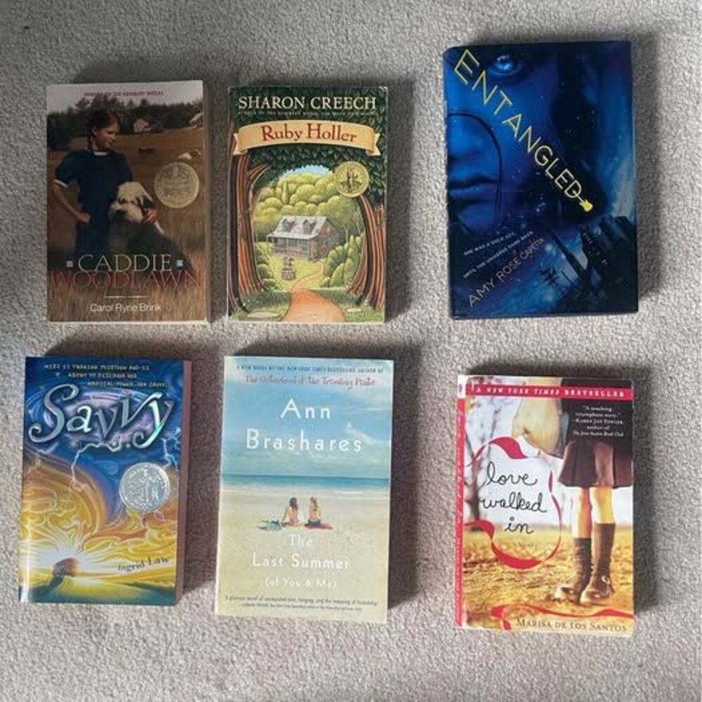 Ages 10-15 Chapter Book Lot